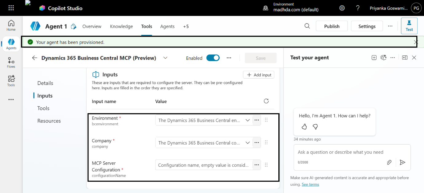 Configure Business Central MCP Tool