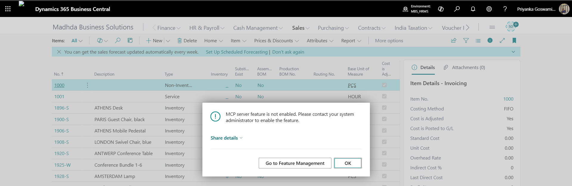 MCP Server Feature Not Enabled Message