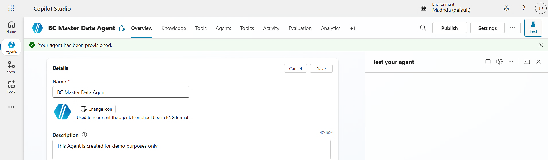 Business Central Master Data Agent