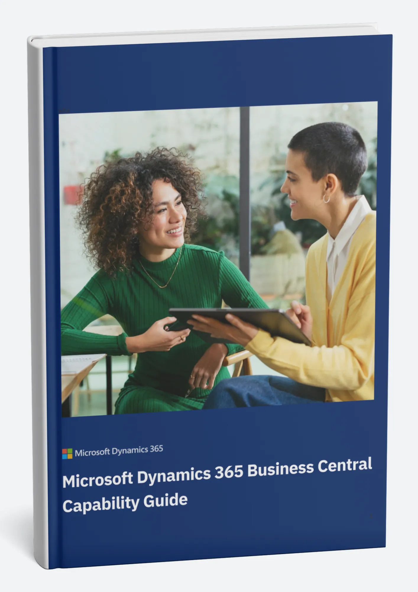 Dynamics 365 Business Central Capability Guide