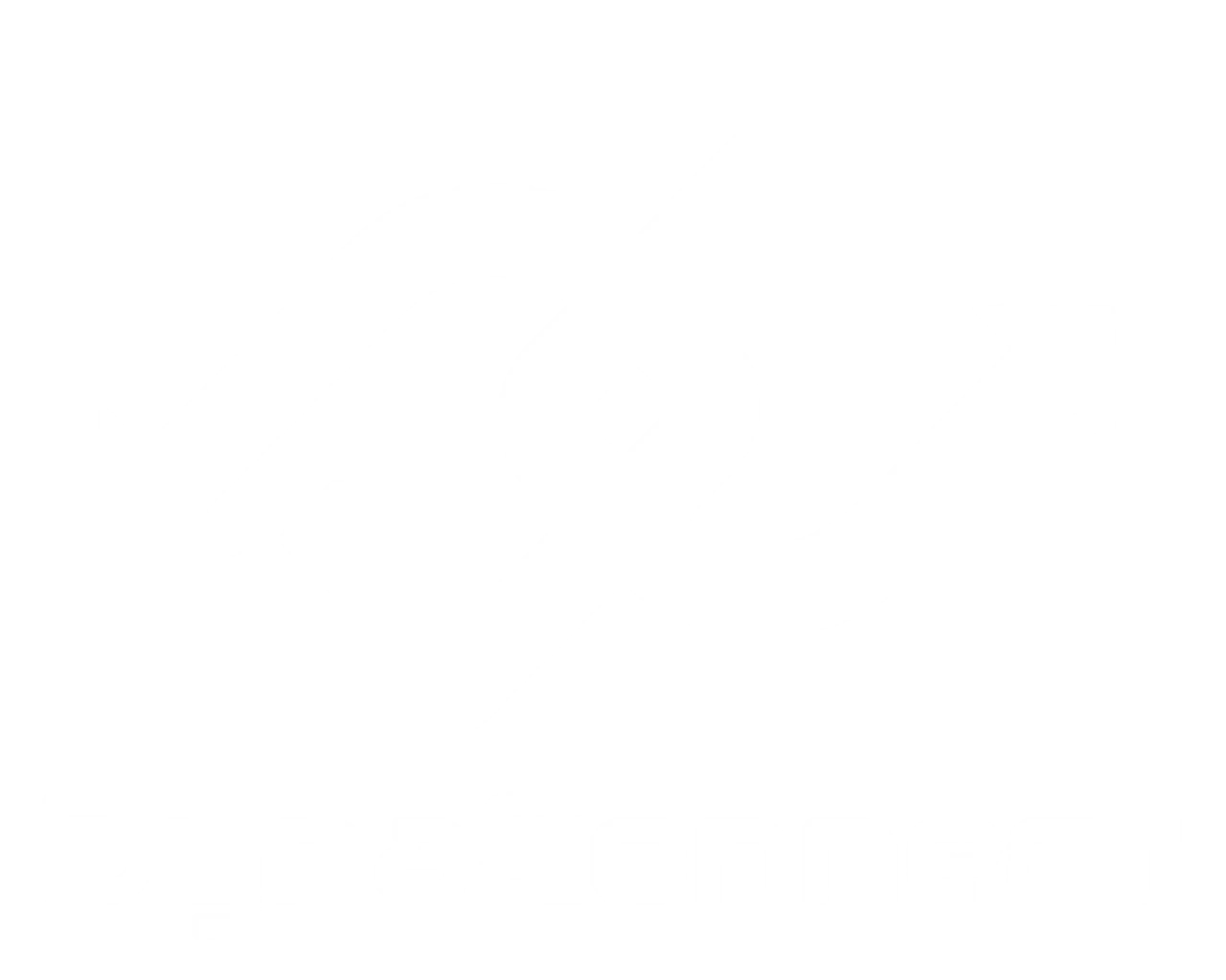 DynaConnect